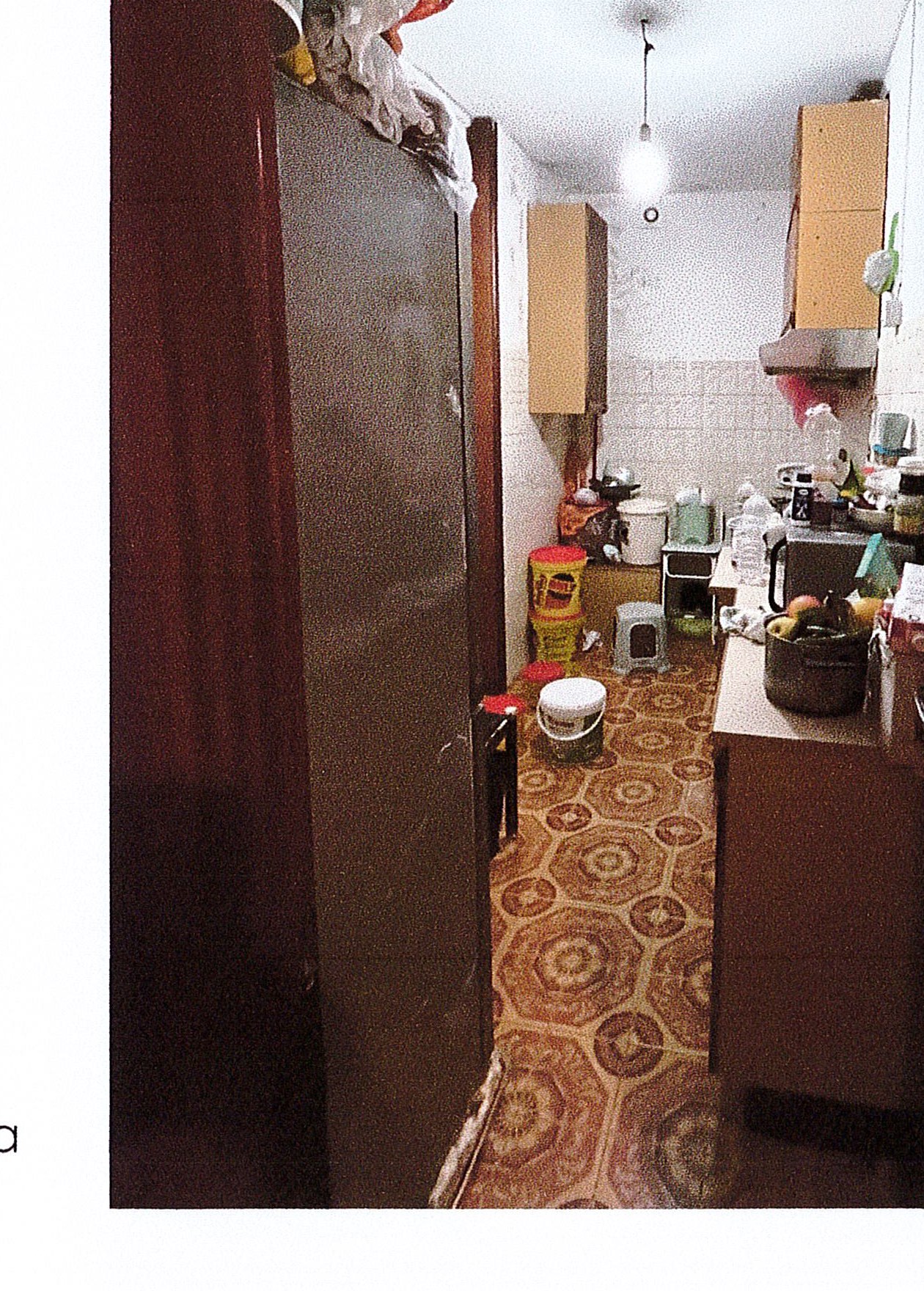 Abitazione Di Tipo Economico a Due Carrare — foto 4